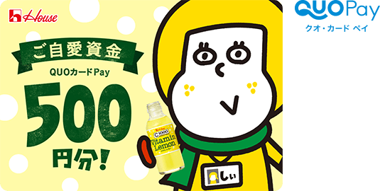 ご自愛資金 QUOカードPay 500円分！